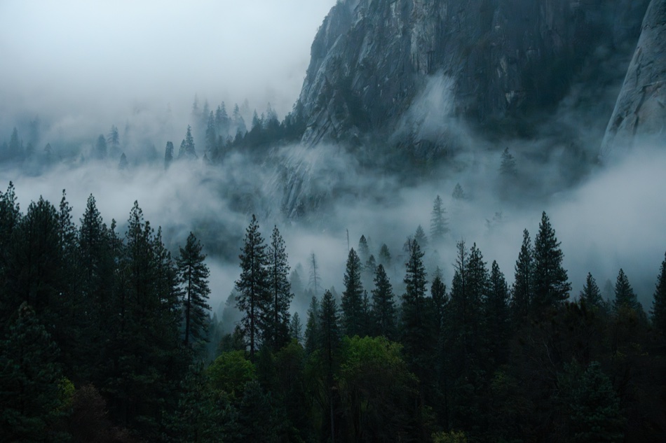 Fog moving through a forested valley