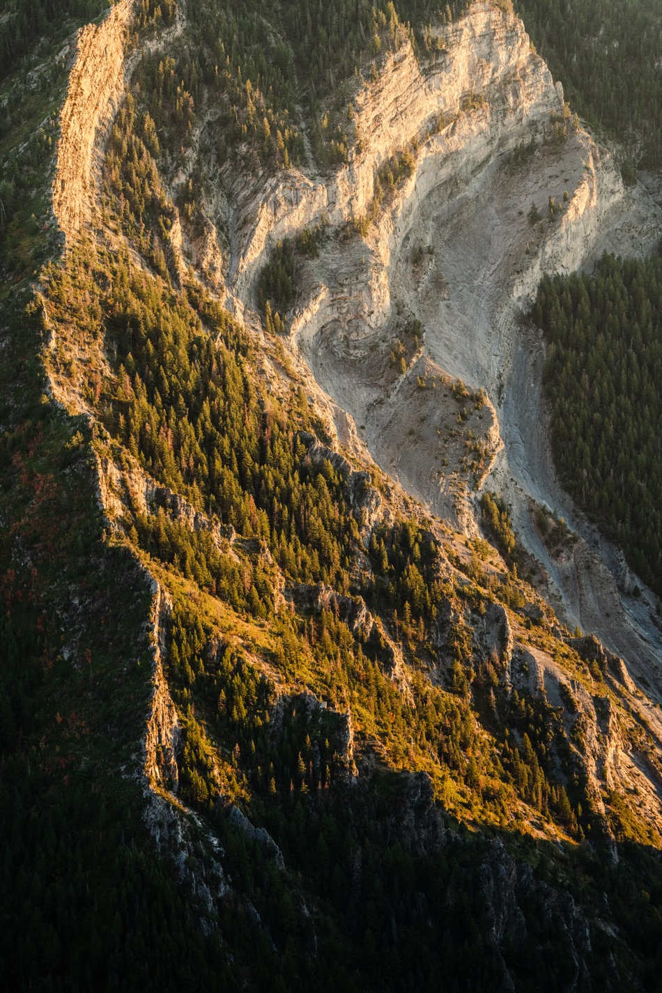 Golden light raking across a forested ridge